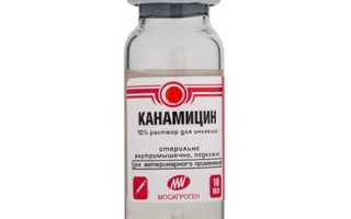 Канамицин