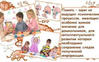 Эмоциональная память как предпосылка для формирования характера