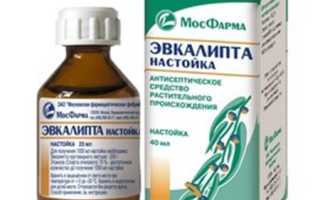 Настойка эвкалипта