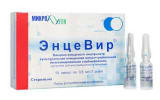 Энцевир