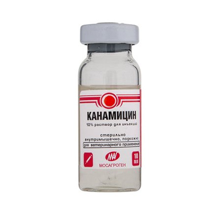 Канамицин