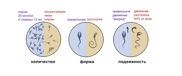 Морфологические показатели